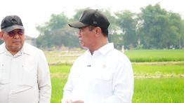 Kementan: 3.233 Hektare Sawah di Lamongan Diselamatkan dari El Nino