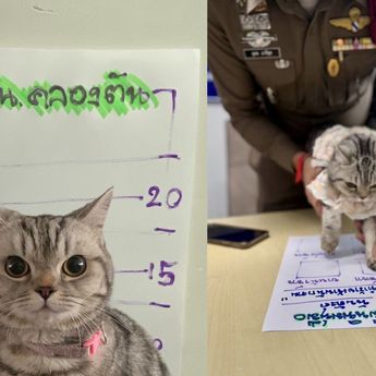 Kucing Gigit dan Cakar Polisi, Berujung ‘Dipenjara’