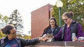 Kucing Max, yang telah menjadi selebriti lokal di kampus, dianugerahi gelar kehormatan oleh universitas tersebut.