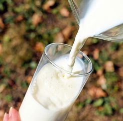 Manfaat Susu Kedelai: Pilihan Sehat untuk Jantung, Tulang, dan Kulit