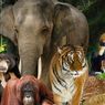 12 Hewan Lucu Ini Dibunuh Pihak Kebun Binatang, Kenapa?