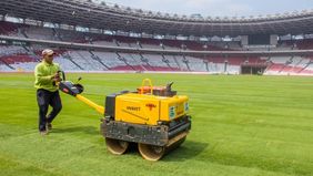 Intip kondisi rumput lapangan SUGBK sedang dalam tahap maturasi.