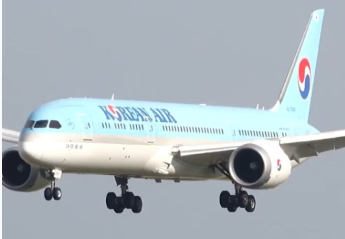 Pesawat Korean Air <b>(Instagram)</b>