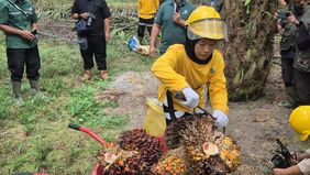 PT Astra Agro Lestari Tbk (Astra Agro) menempatkan keberlanjutan dan Good Corporate Governance (GCG) sebagai bagian dari setiap proses operasional perusahaan, mulai dari pengelolaan perkebunan berbasis teknologi, konservasi dan perlindungan biodivers