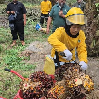 Astra Agro Terapkan Digitalisasi Perkuat Pengelolaan Sawit Berkelanjutan