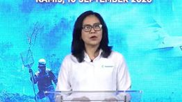Kemenkes Catat 113 Ribu Kasus ISPA di Wilayah Terdampak Karhutla