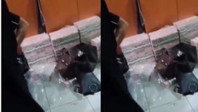 Beredar video memperlihatkan beberapa anggota polisi berhasil menggerebek kantor akuntan yang dijadikan pembuatan uang palsu.