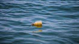 Gara-Gara Botol Air, Perempuan Gagal Jadi Pramugari