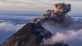 Sun Guo Shan, pria berusia 38 tahun asal China, menarik perhatian publik dengan cara uniknya dalam mendaki gunung—menggunakan tangan.