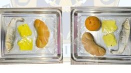 BGN Stop Sementara Operasional SPPG Pamekasan Pademawu Usai Temuan Lele Mentah