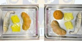 Operasional Satuan Pelayanan Pemenuhan Gizi (SPPG) di wilayah Pademawu, Buddagan, Kabupaten Pamekasan dihentikan sementara setelah muncul laporan terkait ketidaksesuaian menu Makan Bergizi Gratis (MBG) yang diberikan kepada siswa berupa lele yang mas