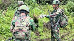 Satgas Gabungan Pamtas RI-PNG Temukan 4 Kebun Ganja di Pegunungan Bintang Papua
