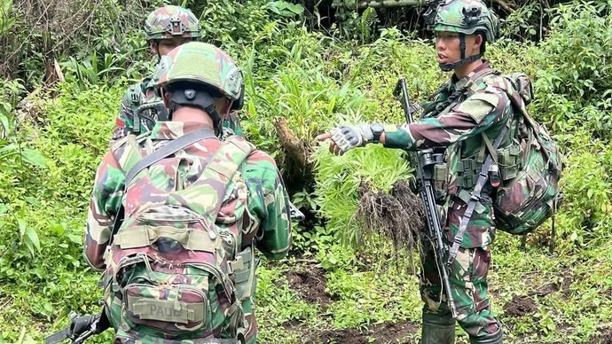 Satgas Gabungan Pamtas RI-PNG Ungkap Empat Kebun Ganja di Pegunungan Bintang, Papua