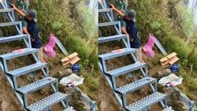 Beredar video memperlihat sejumlah orang sedang melakukan pekerjaan pemasangan tangga di jalur sulit pendakian Gunung Rinjani. Hal ini untuk memudahkan menuju puncak.